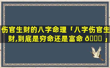 伤官生财的八字命理「八字伤官生财,到底是穷命还是富命 💐 」